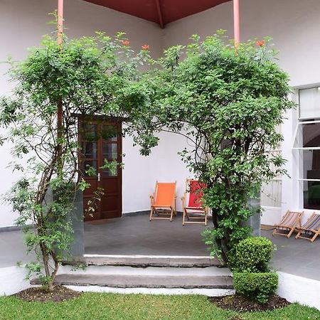 ホテルLa Casa De Las Magnolias Coyoacan エクステリア 写真