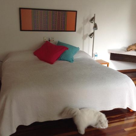 ホテルLa Casa De Las Magnolias Coyoacan エクステリア 写真