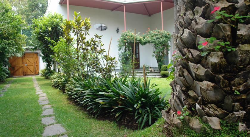 ホテルLa Casa De Las Magnolias Coyoacan エクステリア 写真