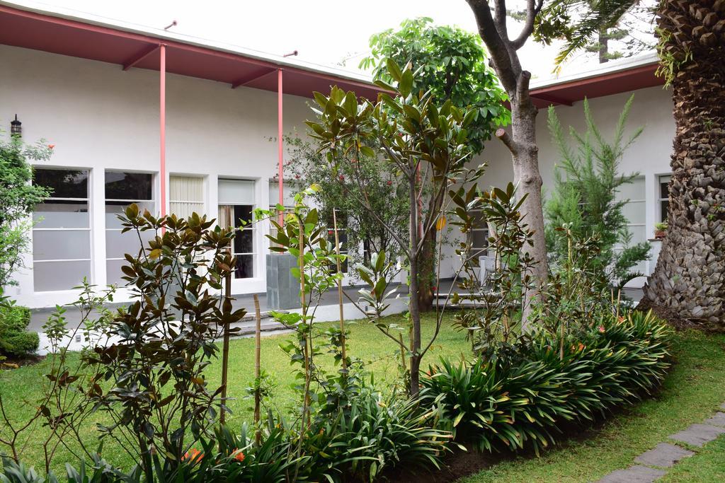 ホテルLa Casa De Las Magnolias Coyoacan エクステリア 写真