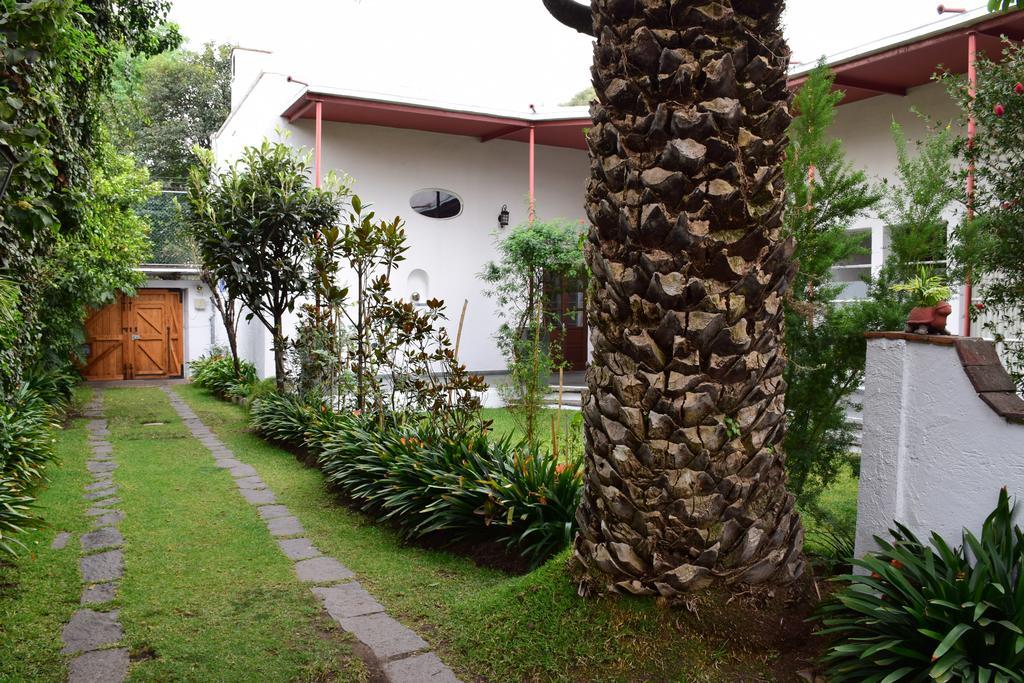 ホテルLa Casa De Las Magnolias Coyoacan エクステリア 写真