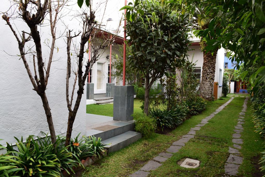 ホテルLa Casa De Las Magnolias Coyoacan エクステリア 写真