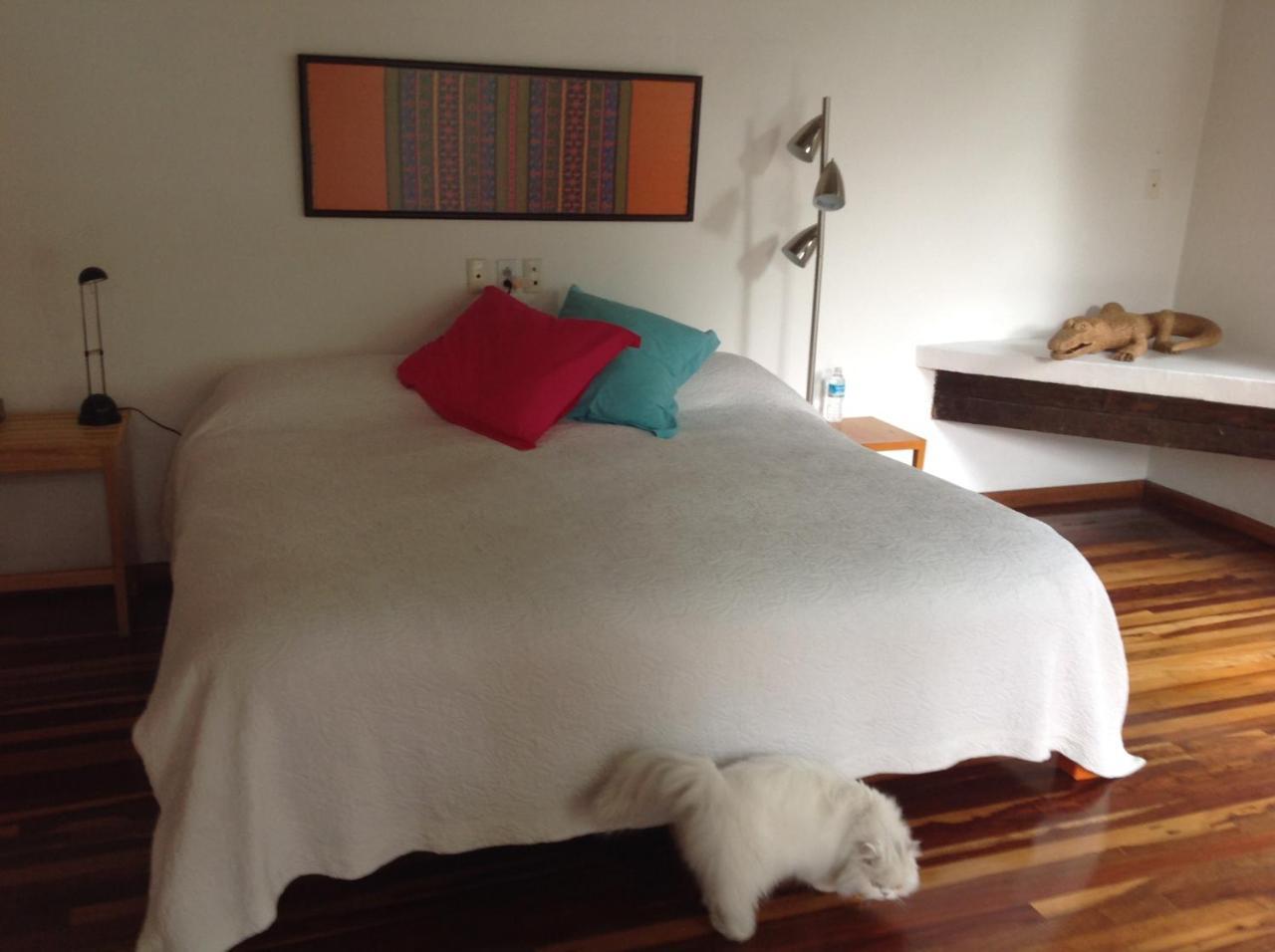 ホテルLa Casa De Las Magnolias Coyoacan エクステリア 写真